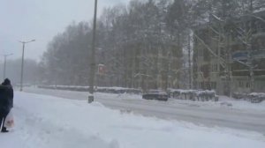 Winter day in the Academgorodok (Science Sity, Novosibirsk, Siberia, Russia)