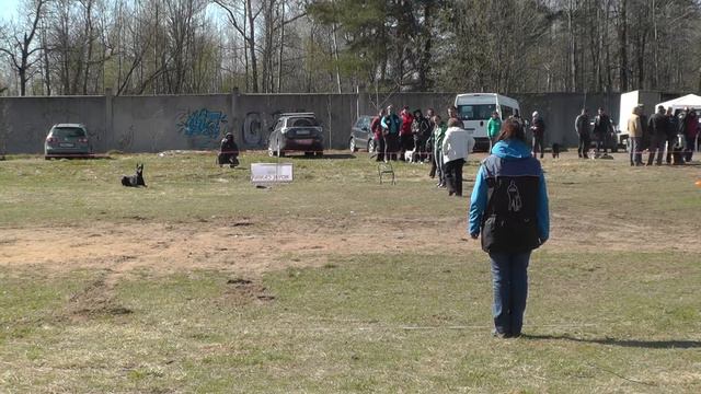 Чемпионат Тверской области (CACT) 2014 г. по ОКД и ЗКС. смотреть онлайн