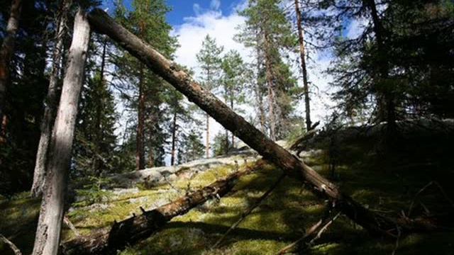 Ricci plays Sibelius Violin concerto part 3 of 4