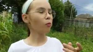 ПОМИДОР "СЛИВКА ЖЁЛТАЯ"