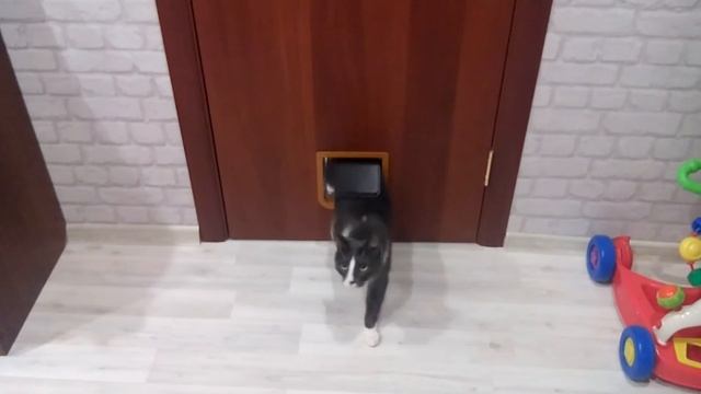 Маленькая дверь для маленького друга смотреть онлайн