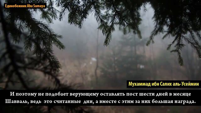 6 дней поста в месяце Шавваль / Ибн Усаймин смотреть онлайн