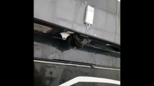 Hyundai Palisade - установили омыватель на камеру заднего вида