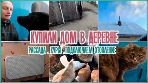 ? Купили дом в деревне _ ? Рассада  _?  Куры _ ? Подключаем отопление