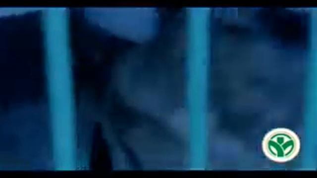 бешенство дом.животных Сапар Исаков смотреть онлайн