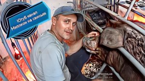 СЛОЖНЫЙ ОПОРОС У СВИНОМАТКИ ПОРОДЫ ДЮРОК ‼️ДОСТАВАЛ ПОРОСЯТ