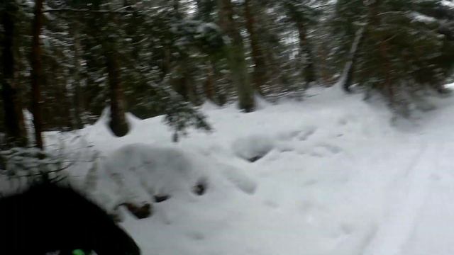 январская покатушка на фэтбайке
