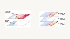 Mimaki Software: RasterLink Software