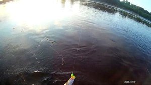 ЛОВЛЯ на Китайскую  ЛЯГУШКУ. ТЕПЕРЬ ТЫ СМОЖЕШЬ ВСЁ