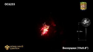 Фейерверк ОС6255 "Веснушки" (0,8" х 19 залпов)