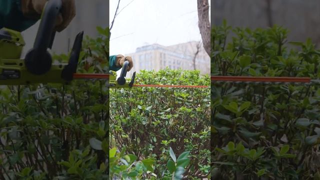 Say Goodbye to Messy Hedges with SEYVUM Hedge Trimmer