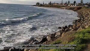 Можно ли возродить динозавра из его ДНК