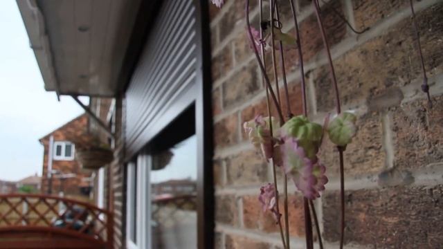 Рольставни на окна и двери смотреть онлайн