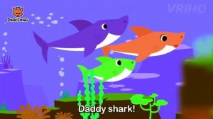 Baby shark song parody|cocomelon|clap clap cha cha cha|tom parody|Cocomelon #020