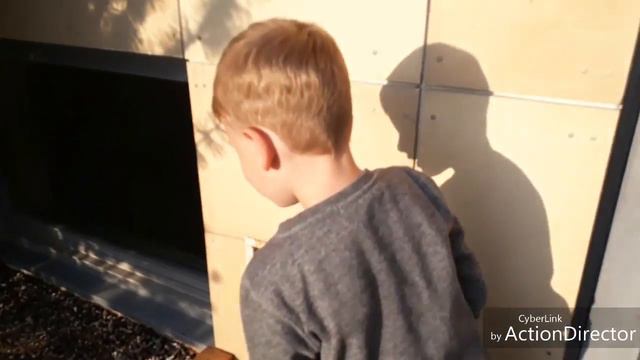 Илья переехал😭 он вернулся и случилось это...😱 смотреть онлайн