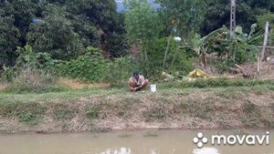 Семские во Вьетнаме2! опять рыбалка