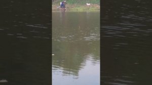 Краснодар Чибийский канал рыбалка сентябрь