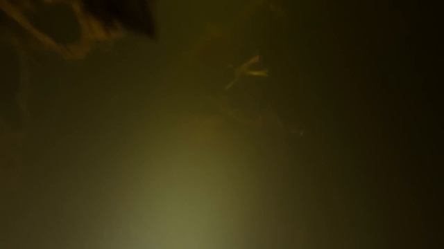 Клёвая разминка смотреть онлайн