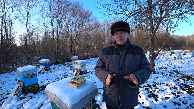 Рискованный эксперимент с пчёлами зимой смотреть онлайн