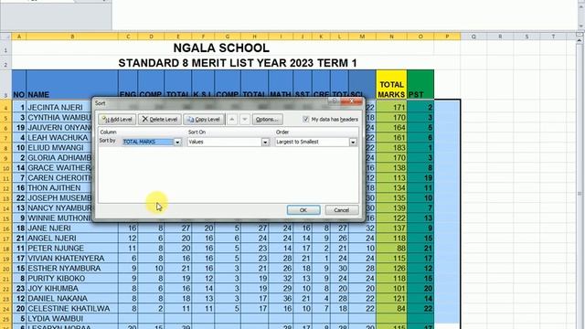 Ms Excel - Data Sorting Made Easy!