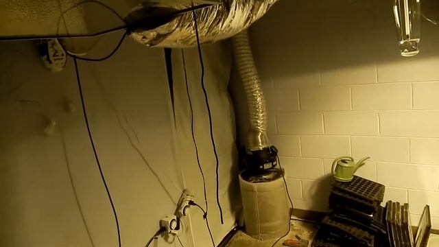 Slows Grow log #35 ( site A update) смотреть онлайн