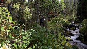 Гора Бычья горнолыжный курорт лето