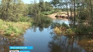 Плотина на реке Соньге лишила местных рыбаков улова