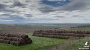 Фермерское хозяйство