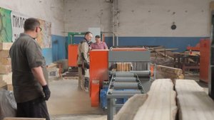Многопильный дисковый станок Триумф Б700