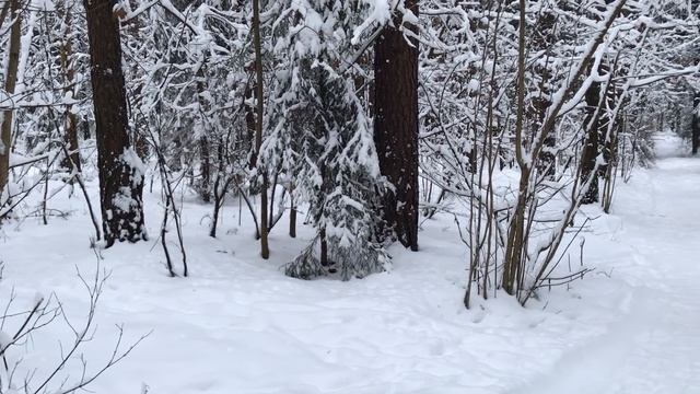 Мужчина понял, что жена его никогда не любила. Любовные истории из жизни. Аудио рассказы.