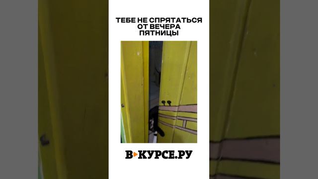 ВЕЧЕРНЕЕ ВЕСЕЛОЕ