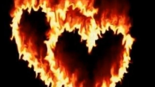 Стелла Джанни -  Чёрная лилия