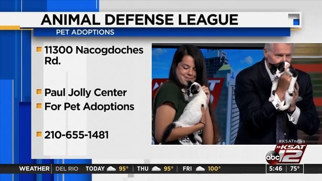 Good Morning San Antonio : Jul 21, 2021 смотреть онлайн