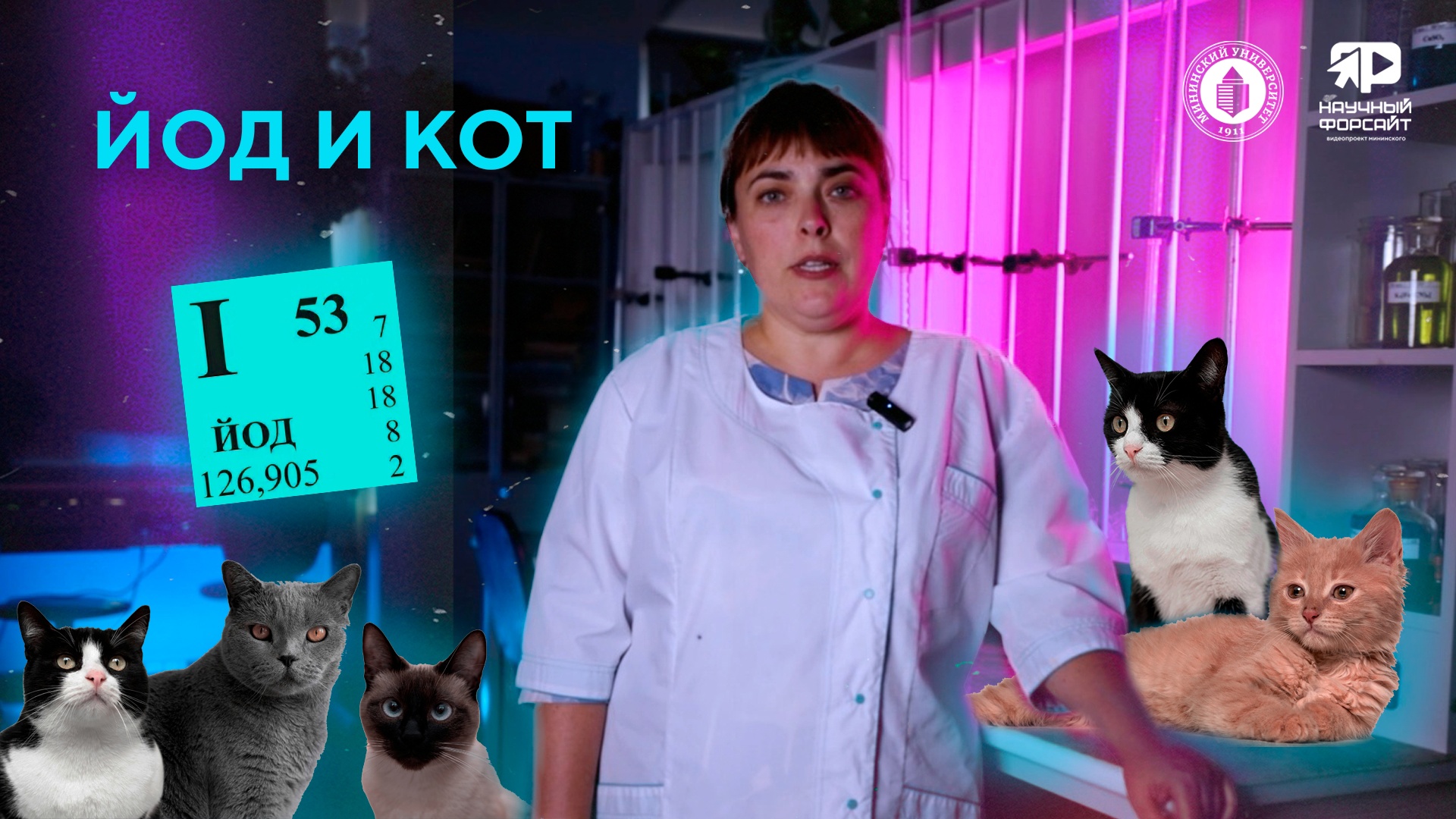 Йод и кот. Наталья Пиманова (Научный форсайт#13)