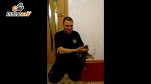 Отзыв Валерия о многоразовых пеленках для собак