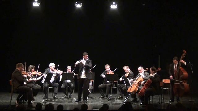 Artur Ivelja and The Zagreb Soloists-C.Chaminade Concertino for flute and strings смотреть онлайн