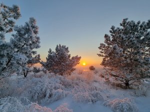 Артём Гельман - Закат