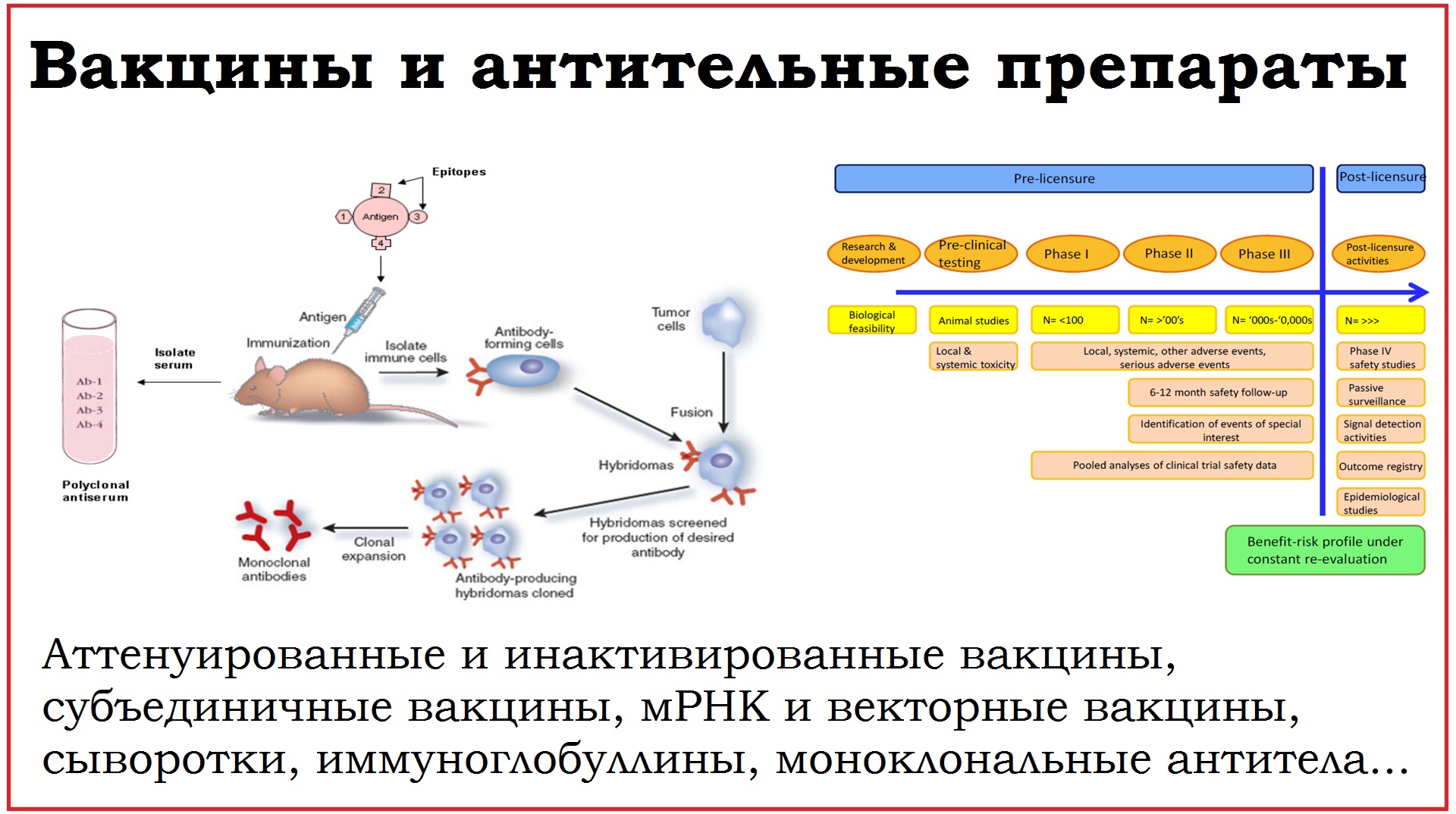 18. Вакцины и антительные препараты