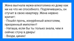Камень в Тёщу и Презренный Импотент!!! Смешная Подборка Анекдотов!!!
