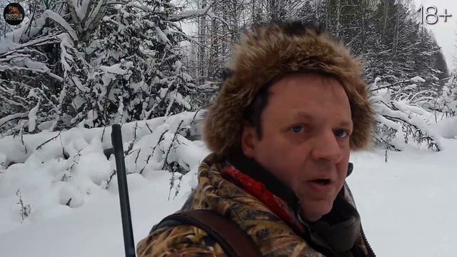Охота на кабана монстра.  Но вышли кабанчики сеголетки