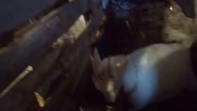 для вас фу а для меня любимые