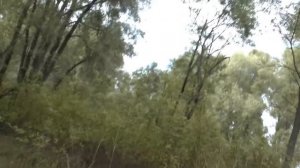 Строим домик в лесу возле реки из подручных материалов! Часть 1