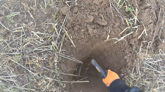 Металлоискатель XP Deus 3.2. Коп. Видео №6 смотреть онлайн