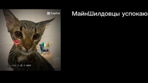 |•| - Реакция МайнШилда на себя - |•| читать описание - |•|