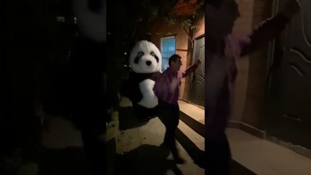 Танцы с Амиго #panda #amigo #пандаамиго ??????#ростов #ростовнадону umka-rostov.ru смотреть онлайн