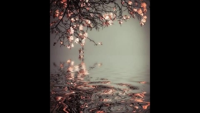 Братья Шахунц Ты Королева,Ты Сказка Моя смотреть онлайн