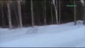 Армия России. Автомобильные войска