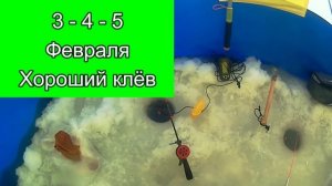 Календарь рыбака на Февраль Прогноз клева рыбы на февраль Лунный календарь рыболова Февраль 2022