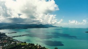 самые ядовитые медузы в Тайланде