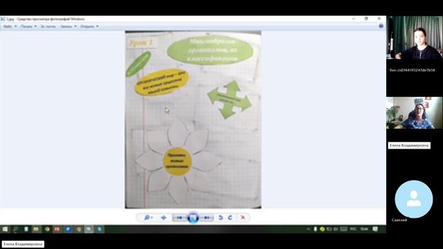 7 класс_Биология_1_10.09_Многообразие организмов. Классификация